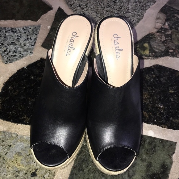 Charles David Andes Leather Wedge Espadrilles - Picture 6 of 9